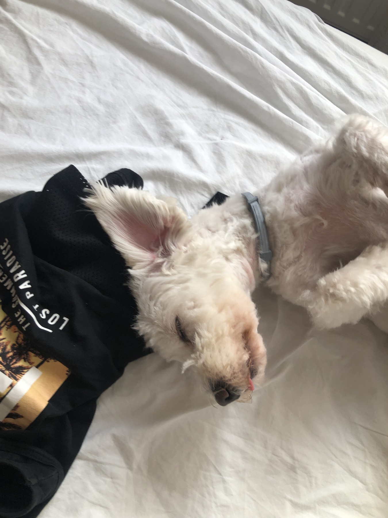 Nata portrait in warm light